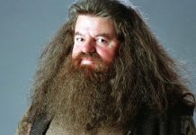 Hagrid dies: why is it so important in Harry Potter?