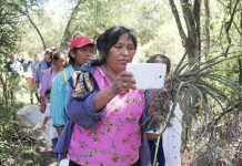 Internet against climate change, isolation and the gender gap in the American Gran Chaco