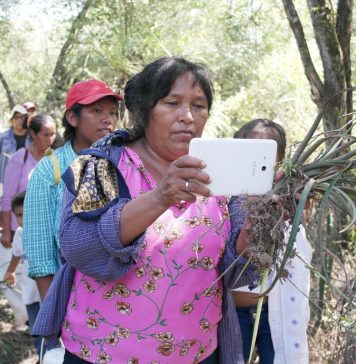 Internet against climate change, isolation and the gender gap in the American Gran Chaco