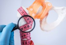 Taking calcium supplements before age 35 can prevent osteoporosis