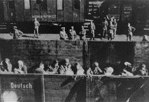 Victims of the Nazi Era: Nazi Racial Ideology