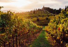 12 under-the-radar wine destinations that fall
