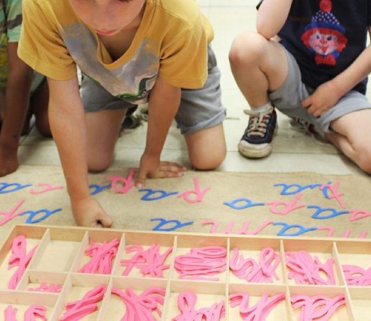 Education without gender or number: when diversity is a value and not a determining factor