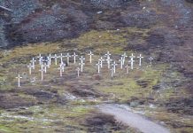 Fifteen viruses that have changed the history of humanity