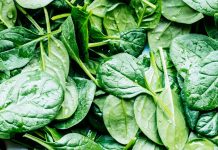 Why should you eat raw spinach? 5 benefits
