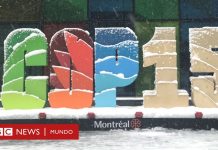 The “historic” agreement with which the world commits to convert 30% of the planet into protected areas for diversity